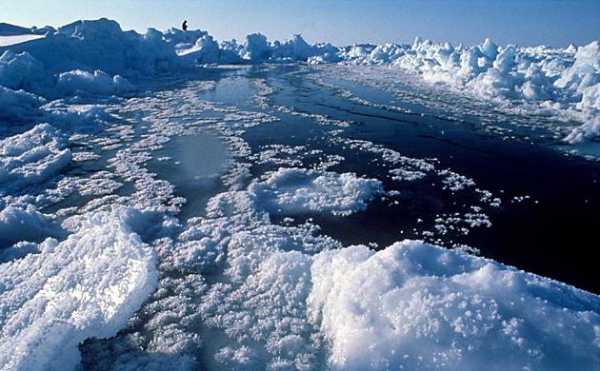 Реферат: Моря Северного Ледовитого Океана
